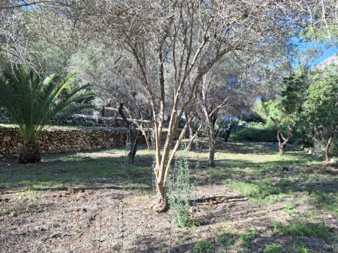 Parcela exclusiva con proyecto de villa moderna y licencia aprobada en Castellans, Jávea - 2