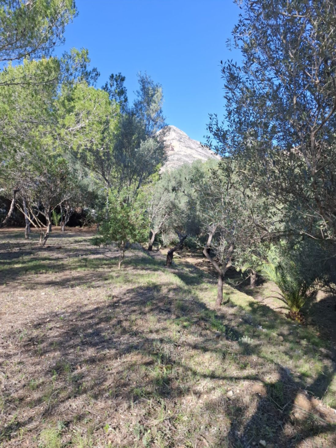 Parcela exclusiva con proyecto de villa moderna y licencia aprobada en Castellans, Jávea - 3
