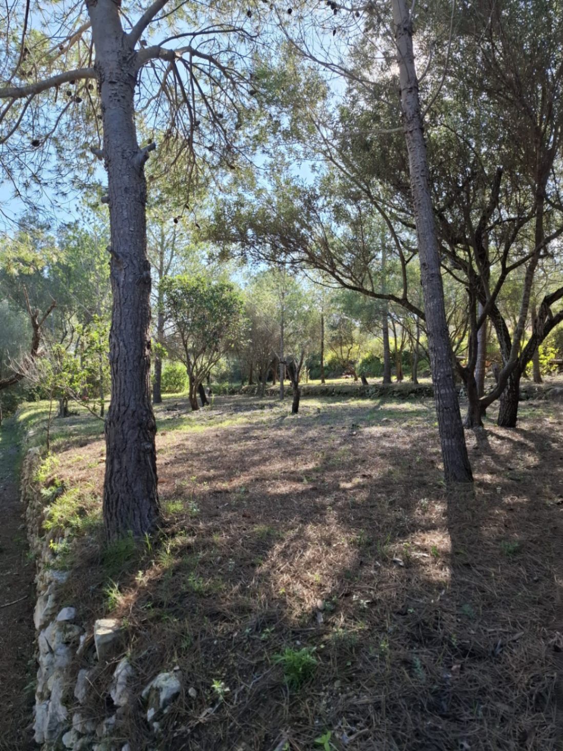 Parcela exclusiva con proyecto de villa moderna y licencia aprobada en Castellans, Jávea - 5
